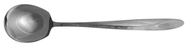 CCS1 (STAINLESS) Solid Smooth Casserole Spoon