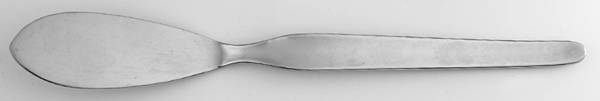 Bridal Dream (Stainless) Flat Handle Master Butter Knife