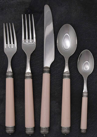 Carthage-Ivory (Stainless) 5 Piece Place Setting