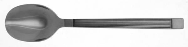 CSM7 (STAINLESS) Sugar Spoon