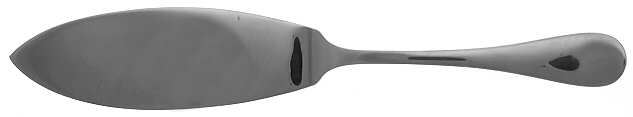 Berry (Stainless) Large Solid Fish Server