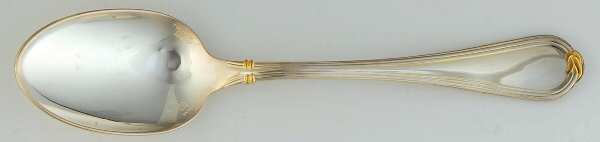 Oceana Gold (Silverplate) Teaspoon