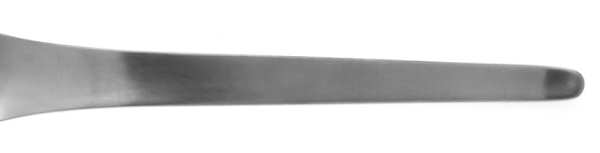 Medal (Stainless) by C Hugo Pott