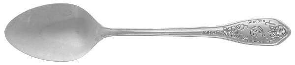 CUS12 (STAINLESS) Teaspoon