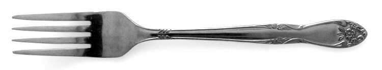 CUS2 (STAINLESS) Fork