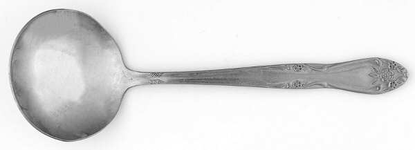 CUS2 (STAINLESS) Solid Gravy Ladle