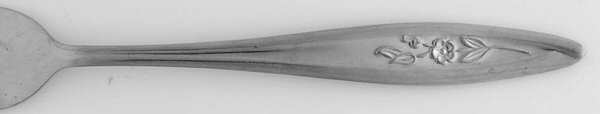CIF19 (Stainless) by CI