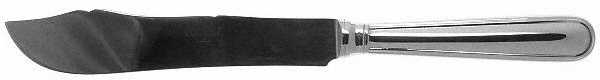 Sevigne (Stainless) Large Solid Fish Serving Knife