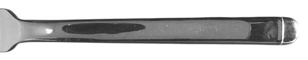 CWD1 (STAINLESS) Fork