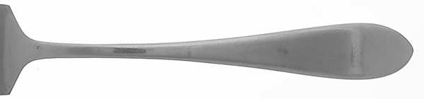 CLF30 (STAINLESS) by The Cellar(Flatware)