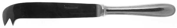 Albi-Calissa (Stainless, Glossy) Solid Cheese Serving Pick