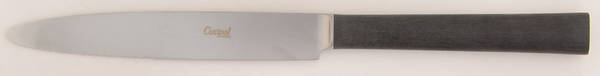 Ebony (Stainless) Individual Steak Knife Hollow Handle by Cutipol
