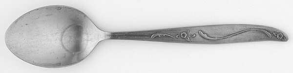 CCS16 (Stainless) Teaspoon