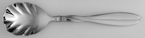 CUI16 (Stainless, Glossy) Sugar Shell Spoon