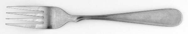 CFW1 (Stainless) Fork