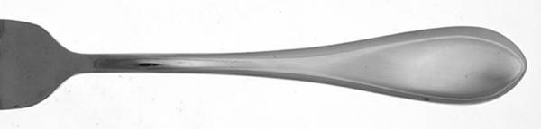 Irais (Stainless) by Cuisinart Flatware
