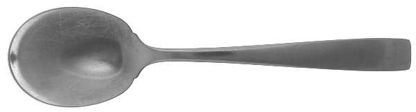 DCS1 (STAINLESS) Sugar Spoon