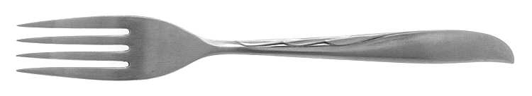 DCS2 (STAINLESS) Fork