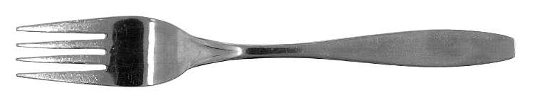 Fortuna (Stainless) Fork