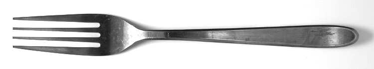 Hampton (Stainless) Fork