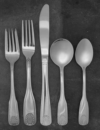 Laguna (Stainless) 5 Piece Place Setting