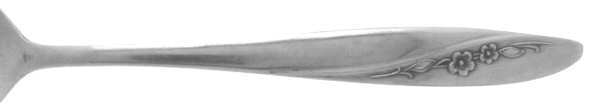 DIX6 (STAINLESS) by Dixon Steel Smith