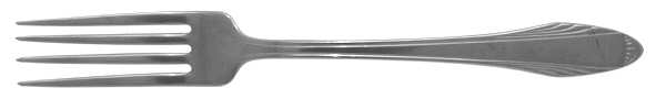 DSC2 (STAINLESS) Fork