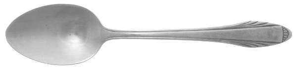 DSC2 (STAINLESS) Teaspoon