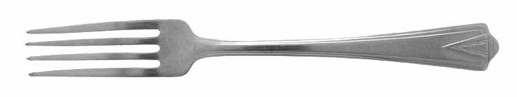 DSC3 (Stainless) Fork