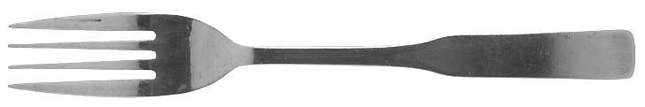 Lexington (Stainless) Fork