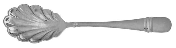 Satin Astragal (Stainless) Sugar Shell Spoon