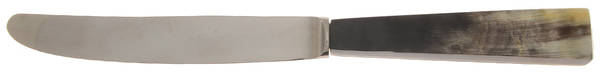 Natural Horn (Stainless) Modern Hollow Knife by De Renaudin