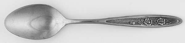 Country Garden (Stainless) Teaspoon