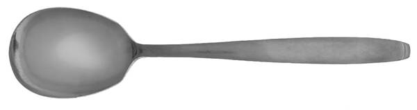 EMS2 (STAINLESS) Sugar Spoon