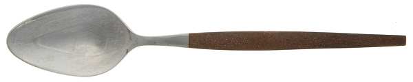 EPS10 (STAINLESS) Teaspoon