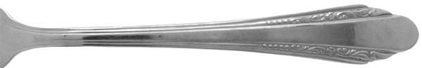 EVS5 (STAINLESS)