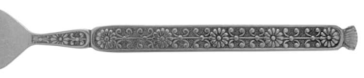 EVS6 (STAINLESS)