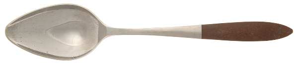 EPS15 (Stainless) Teaspoon