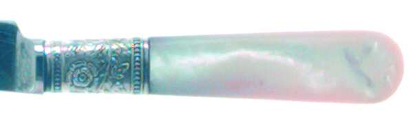 Pearl Handle Flatware 1
