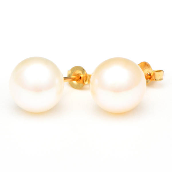 14KY Akoya Pearl (8mm) Stud Earrings