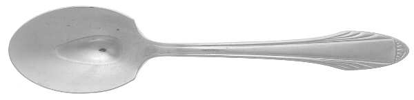 New Look (Stainless) Sugar Spoon