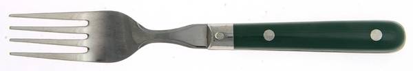 Colours-Hunter Green (Stainless) Individual Salad Fork