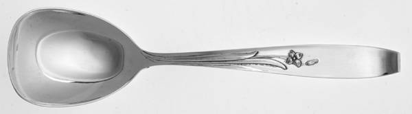 Sugar Spoon