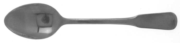 FBR5 (STAINLESS) Teaspoon