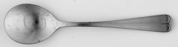 Wellesley (Stainless) Sugar Spoon
