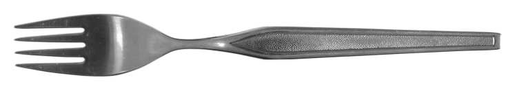 FUF10 (Stainless) Fork