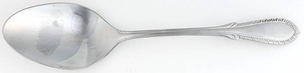 Breeze (Stainless0 Tablespoon (Serving Spoon)
