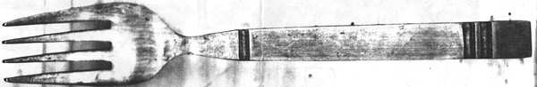 FBR15 (STAINLESS) Individual Salad Fork