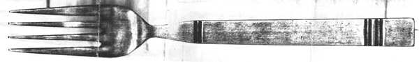 FBR15 (STAINLESS) Fork