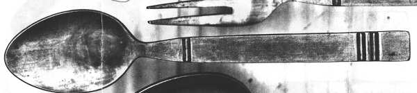 FBR15 (STAINLESS) Teaspoon